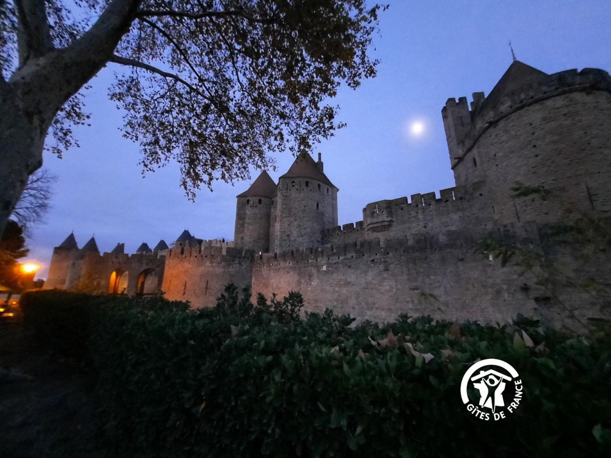Loft Cocon Climatise - Imprenable Vue Sur Le Chateau Comtal Carcassonne Exterior foto
